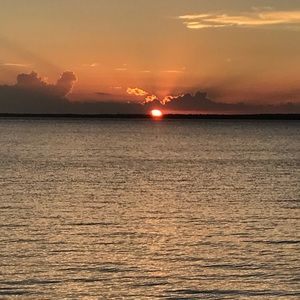 Meet your Posher, Greg